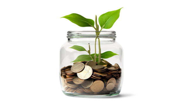 Jar of money plant economy green on a transparent background