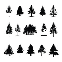 Obraz premium Collection of Silhouettes of various evergreen and pine trees isolated on white background