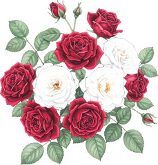 Naklejka premium Floral artwork with red and white roses. Beautiful rose bouquet illustration, combining red and white. Bright red and white roses. Realistic red roses mixed with white roses in an elegant design