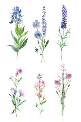 Obraz premium Adobe Illustrator Artwork