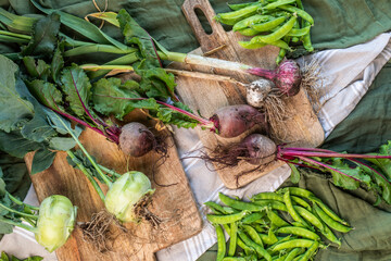 Freshly Harvested Kohlrabi, Beetroot, Garlic and Snow Peas on Wooden Board