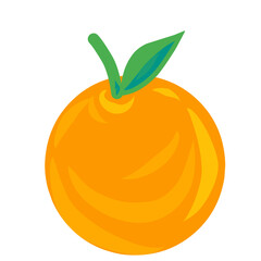 vector illustration of orange fruit