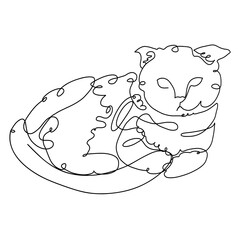 cat drawn with one ornate black continuous line, abstract drawing