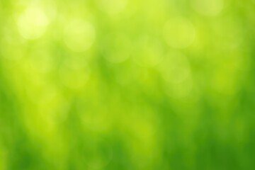 Obraz premium Abstract green nature with soft bokeh and a blurred backdrop