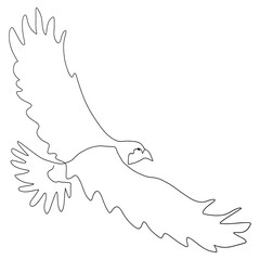 thin outline of a flying eagle, continuous line drawing, black