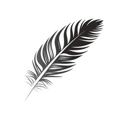 Fototapeta premium feather isolated on white background