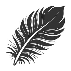 Obraz premium feather isolated on white background