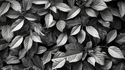 Monochrome foliage background with leaf patterns