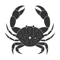 Crab, seafood, sketch. Vintage retro print, seafood crab sketch, sea life, ink pencil style drawing, engrave old school sketch, hand drawn. Sketch artwork crab, sign, sea symbol