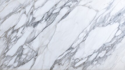 Obraz premium Elegant white stone slab texture with gray veining sophisticated pattern