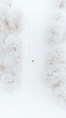 Solitary figure walking through snowy winter forest with frost-covered trees