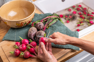 Fresh Garden Harvest: Radishes, Beets and Sugar Snap Peas in the Kitchen