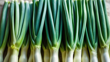 Fresh raw leeks used as background, viewed from above.