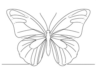 Elegant Line Art Drawing of a Butterfly Insect Illustration Nature Sketch Minimalist Design
