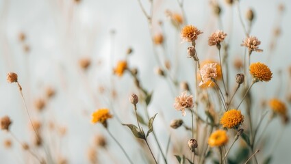Detailed shot of tiny faded flowers on a plain white backdrop