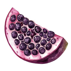 Acai Berry Slice, watercolor clipart vector, isolated on a white background.