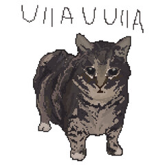 Pixel Art Illustration of a Sad Crying Tabby Cat