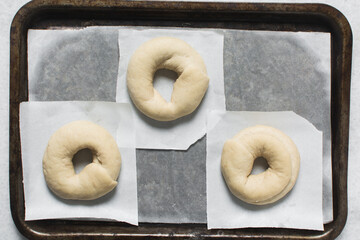Overhead view of proofed bagel dough, top view of raw homemade bagels on parchment lined baking sheet, process of making bagels