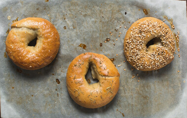 Overhead view of freshly baked bagels with herb and sesame topping, top view of homemade bagels on parchment lined baking sheet, process of making bagels