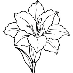 Fototapeta premium Gladiolus flower isolated on white background