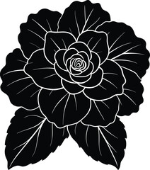 begonia flower silhouette on white background