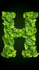Green leaf letter H, nature alphabet, dark background, design element