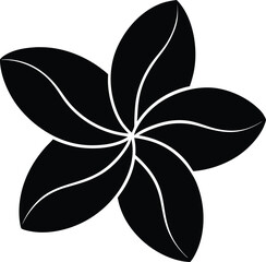 plumeria flower silhouette on white background