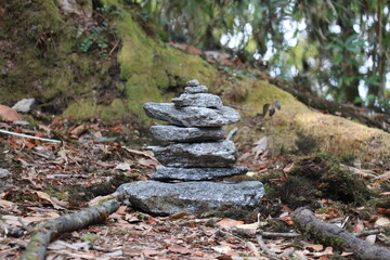 Balanced Stone Stack in Forest—Zen, Meditation, Mindfulness