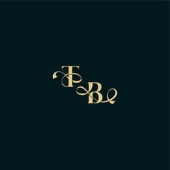 bold concept design elegant and curvy style monogram TB wedding logo initial letter