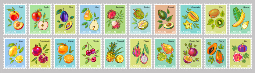 Big set of postage stamps with fruits. Whole and sliced ​​fruits with leaves. Cartoon. Pineapple, rambutan, durian, pitaya, kiwano, carambola, avocado, papaya, passion fruit, lemon, pomegranate