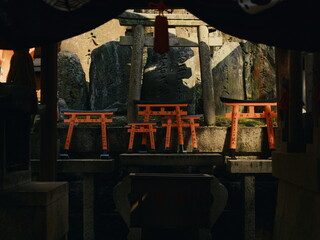 Sunlit Path Through Ancient Torii at Fushimi Inari