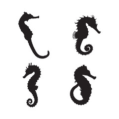 Obraz premium Black Seahorse Silhouette Set Marine Life Vector Collection Isolated on White Background