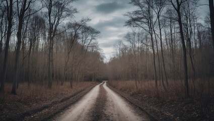 Empty road, outdoor pathway in the wilderness without people during winter in the forest during daytime.