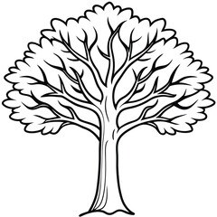Fototapeta premium tree outline vector file 