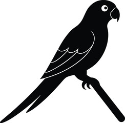 Black silhouette of tropical parrot with curved beak
