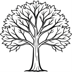 Obraz premium tree outline vector file 