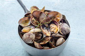 Vongole clams in a saucepan with thyme. Seafood sauce, Mediterranean cuisine