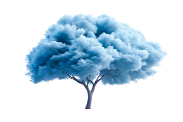 Blue tree with fluffy foliage on transparent background