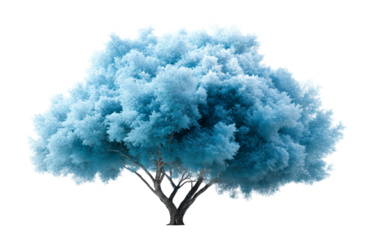 Unique blue tree with fluffy foliage on a transparent background