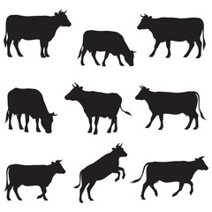 Collection of Nine Silhouette Cow Drawings in Vector Style for Rural Life, Agricultural Products and Eco Packaging Designs