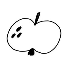 Apple in hand drawn doodle style, vector illustration isolated on white background. Cute cartoon fruit drawing.