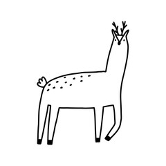 Cute reindeer in hand drawn doodle style, vector illustration isolated on white background. Wild animal outline drawing.