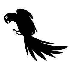 Bird art vector, illustration, silhouette design.