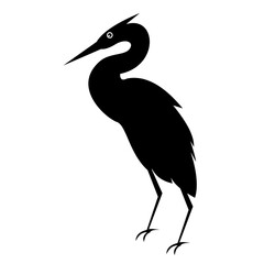 Bird art vector, illustration, silhouette design.