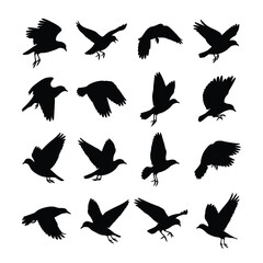 Obraz premium Sixteen bird silhouettes in flight collection