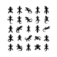 Collection of lizard silhouettes diverse poses