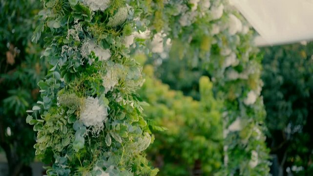 A beautiful canopy with white flowers. High quality FullHD footage