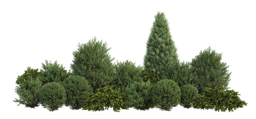 3D render of a garden with small pine trees on a transparent background.