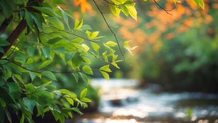 Obraz premium Explore the lively intricacies of greenery, illuminated by sunlight filtering through clouds on a peaceful day. Nature's dance in motion, a tapestry of sunlit beauty.