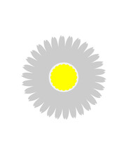 paquerette dessin fleur